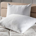 FESTIVAL OREILLET VISCO SMART